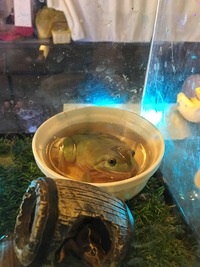 写真 2016-10-14 14 36 41