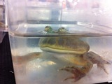 写真 12-05-20 12 46 28