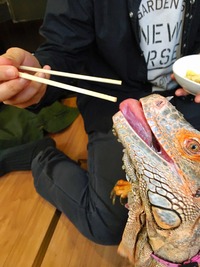 写真 2016-10-14 15 04 52