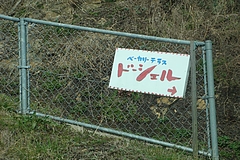 DSC01556