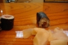DSC01996