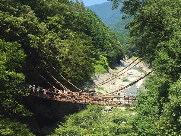 かずら橋.jpg かずら橋