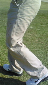 baf9bdb7.jpg