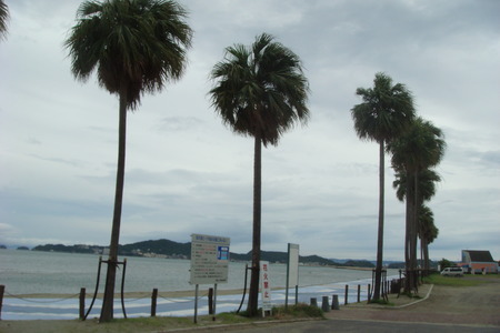 DSC02633
