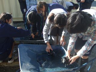 DSCF7927