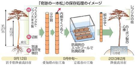 ippon