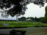 d33c5920.jpg