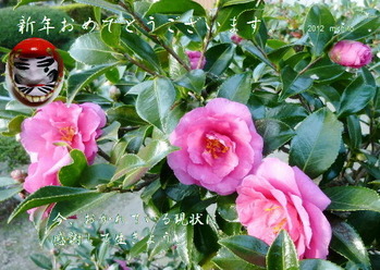 ¿·Ç¯¤ª¤á¤Ç¤È¤¦¡£¡Ê¥µ¥¶¥ó¥«¡õ¥À¥ë¥Þ¡Ë