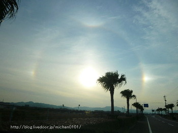 ¸¸Æü¡Ê¤²¤ó¤¸¤Ä¡Ë20111220/15:30