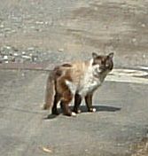 075d961a.jpg