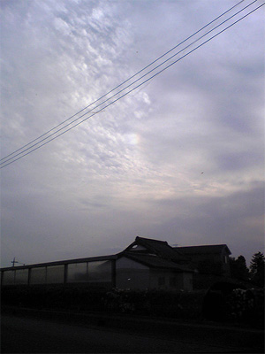3a244ea6.jpg