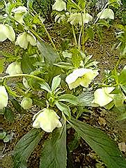 3b03849d.jpg