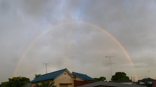 4fa69447.jpg