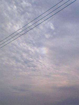 7245e51f.jpg