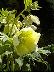 c73e53e1.jpg