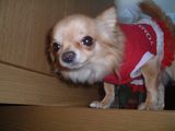 20050827_01.jpg