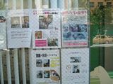 20050827_04.jpg