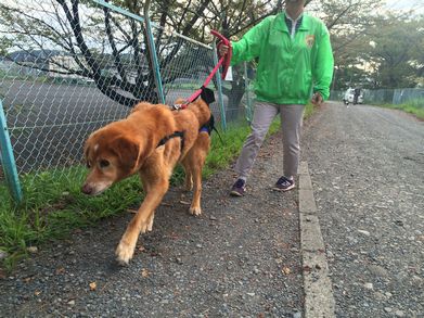 夏が終わった2