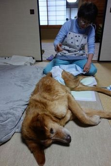 寝たきり3