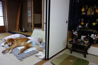 寝たきり4