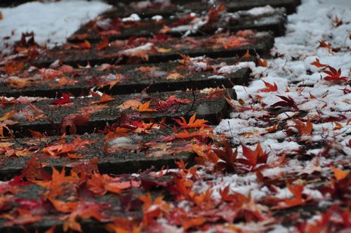 雪1