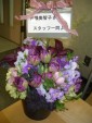 IMGP1137.JPG