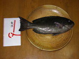釣大会