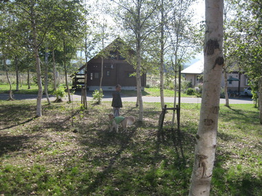 2010_0920_085929-IMG_3234