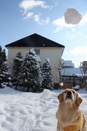 IMG_3425 (533x800)