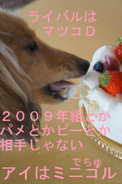 BlogPaint