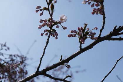DSC00491 (3000x1991)
