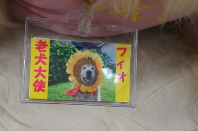 DSC01959
