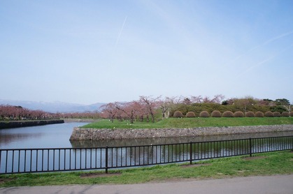 DSC00487 (1280x850)