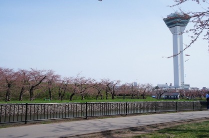 DSC00492 (1280x850)