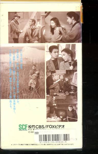¡ÖÈԲΡ×DVD¢
