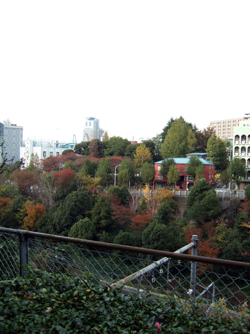 記事21saka8