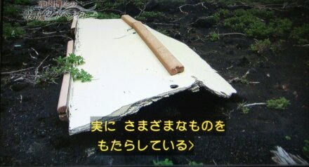 1469372273147