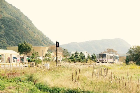 お美コス部門参加賞