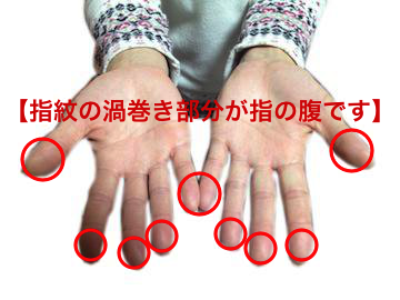 指紋の渦巻き