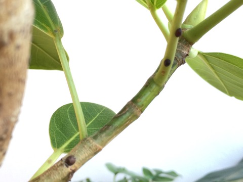 2015-01-10-08-26-03