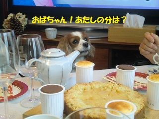 ¤â¤â¤Á¤ã¤ó¡¡¡¡¾Ð¡ª