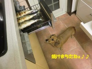 ¾Æ¤±¤¿¡ª