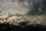 257355d8.jpg