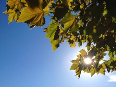 IMG_8380-1