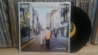Morning Glory1