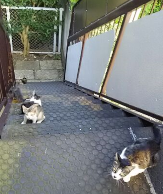 ね2