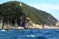 岬