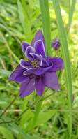 DSCPDC_0000_BURST20180525125223995