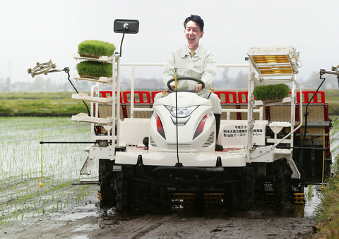 taue