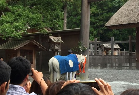 170611_神馬見参